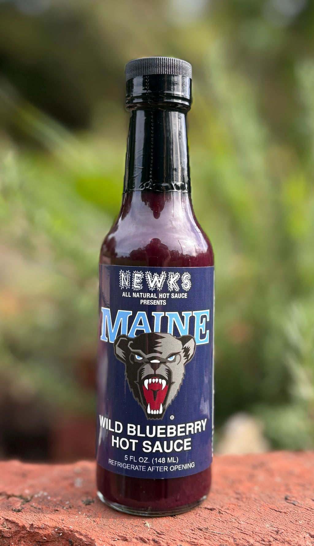NEW FLAVOR: Wild Blueberry Hot Sauce! (MILD)