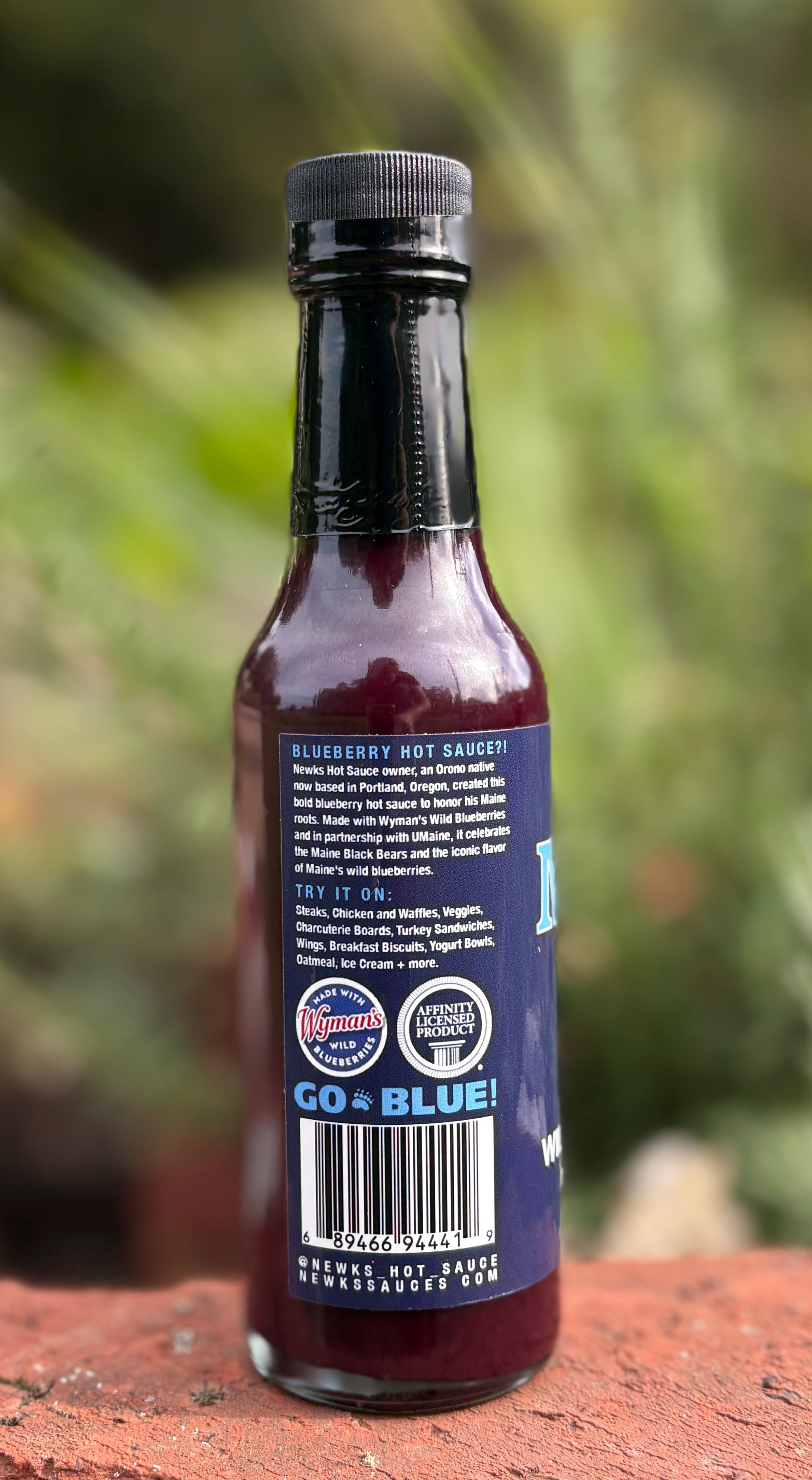 NEW FLAVOR: Wild Blueberry Hot Sauce! (MILD)