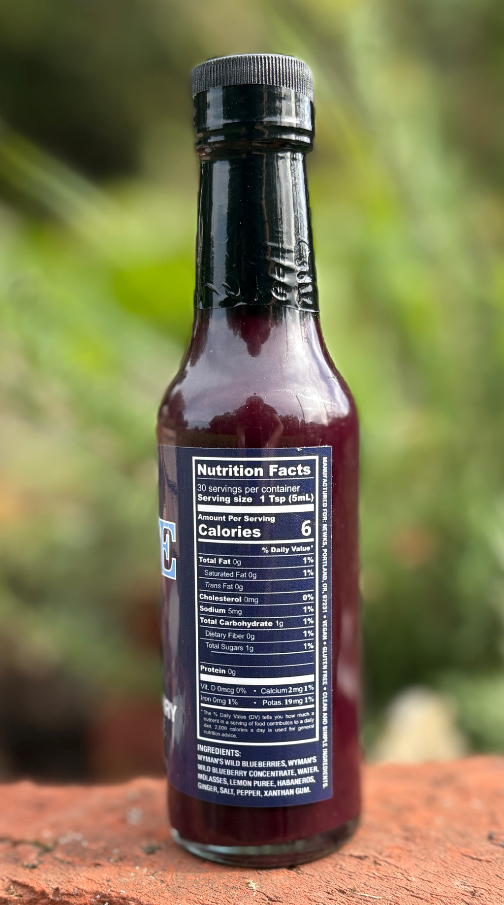 NEW FLAVOR: Wild Blueberry Hot Sauce! (MILD)