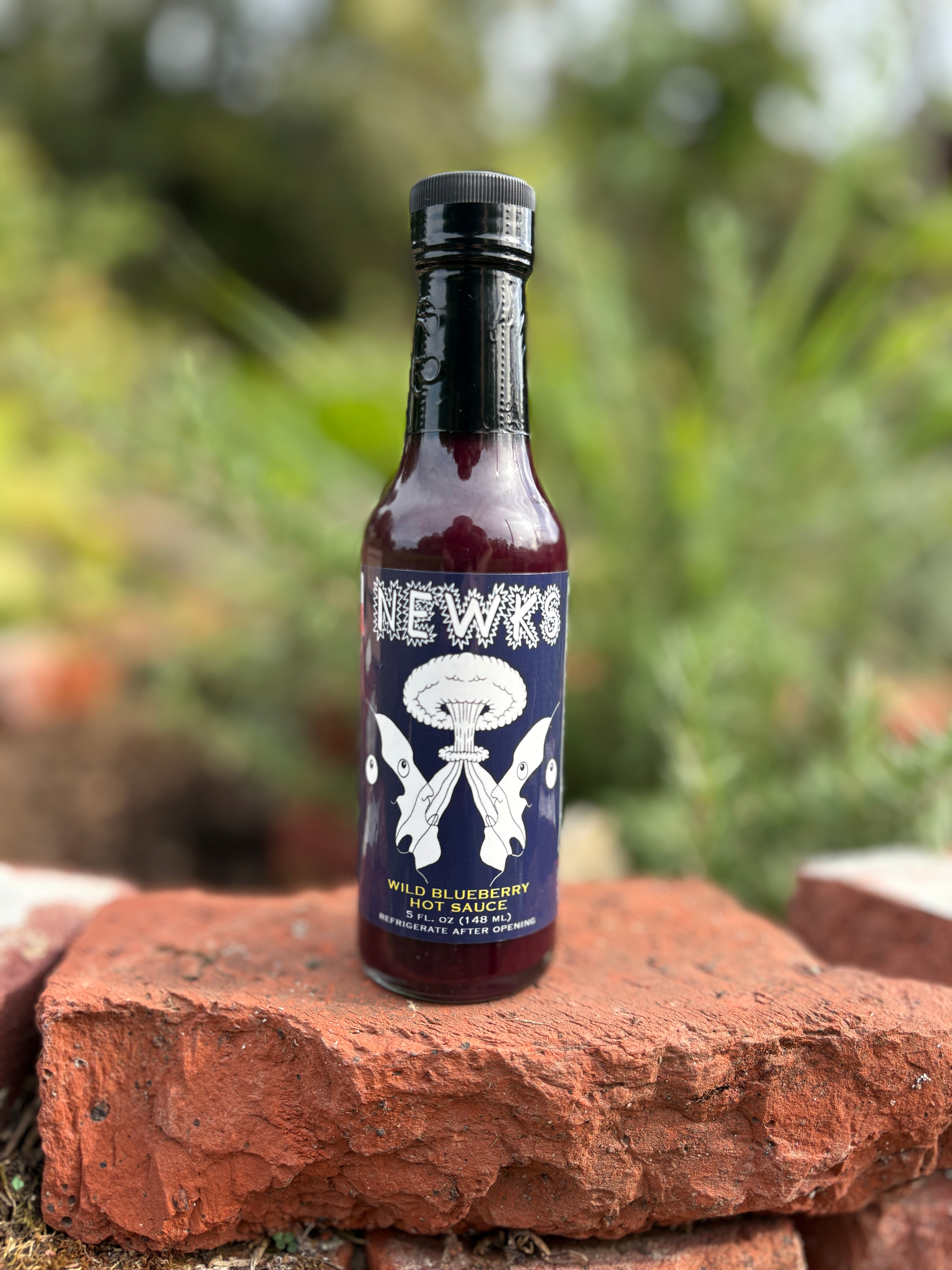 NEW FLAVOR: Wild Blueberry Hot Sauce! (MILD)