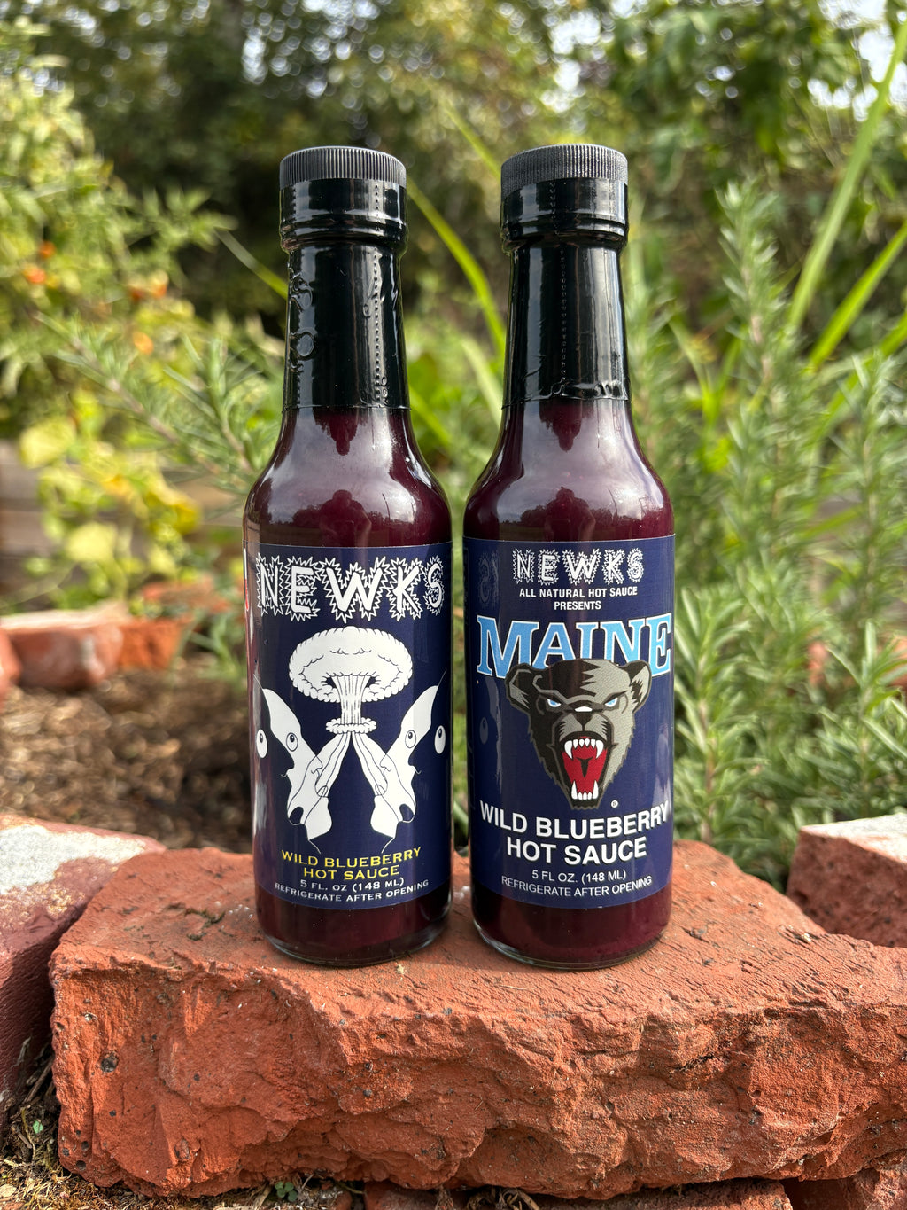 NEW FLAVOR: Wild Blueberry Hot Sauce! (MILD)