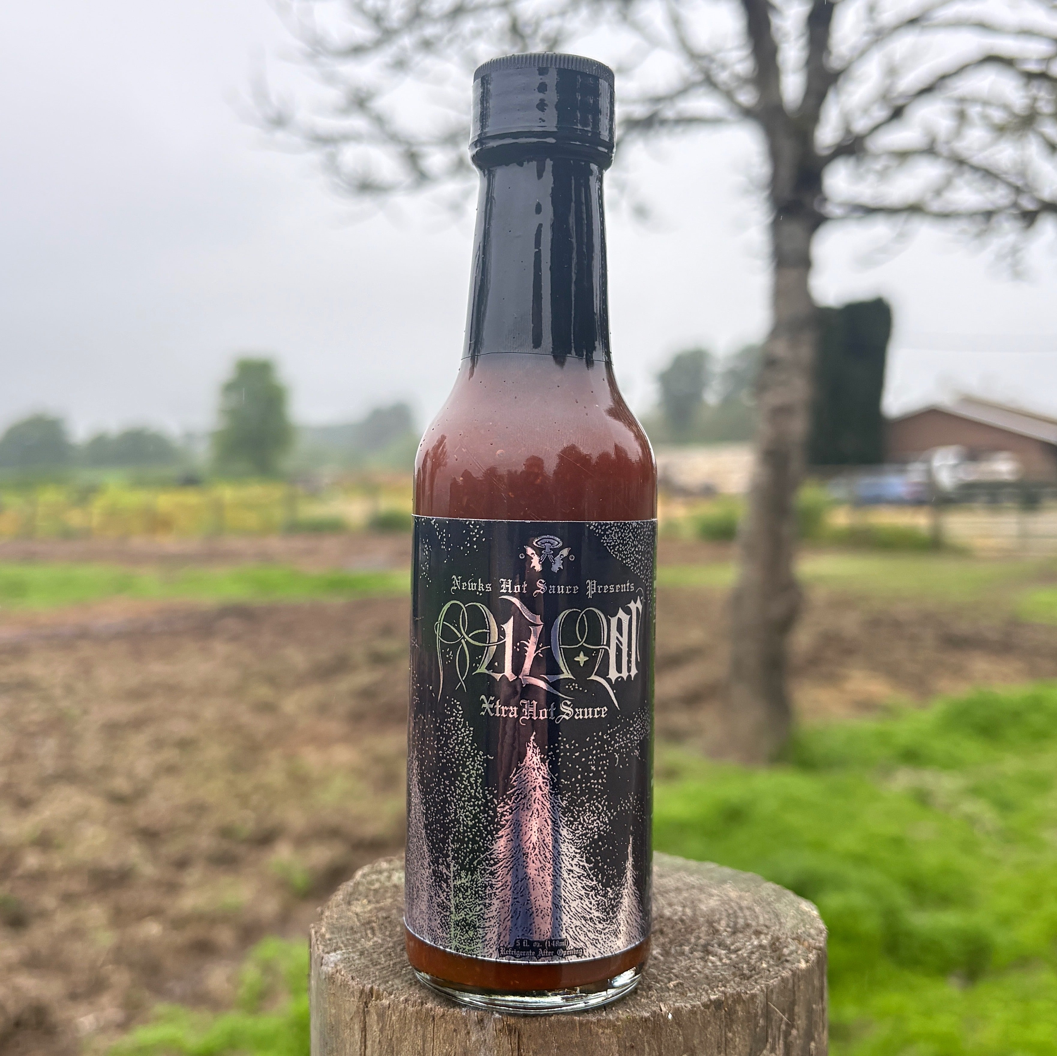 MIZMOR Hot Sauce (2nd Edition, 2026)