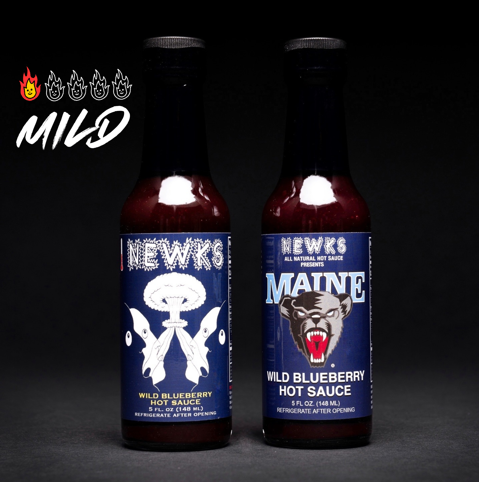 NEW FLAVOR: Wild Blueberry Hot Sauce! (MILD)