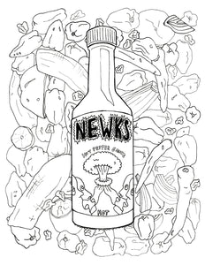 Newks Coloring Book